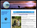 Au coeur du chien (33)
