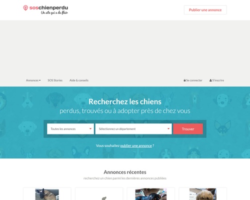 Chien Perdu