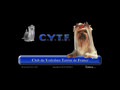 Club du Yorkshire Terrier de France