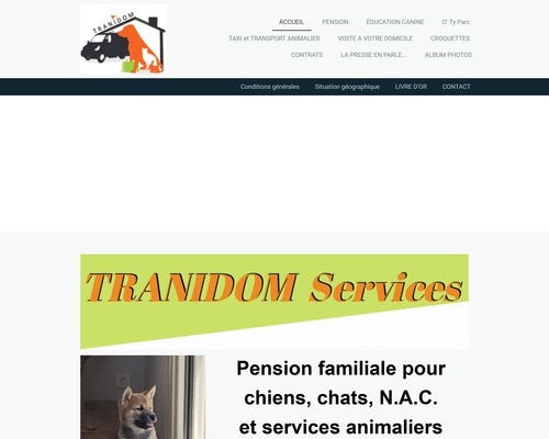 Tranidom Services
