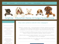 delphine – education canine & comportementalisme