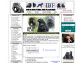 Info du bouvier des flandres