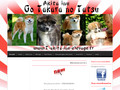 Akita inu Go takara no Tatsu