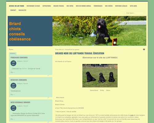 Briard du Lur’Yanou
