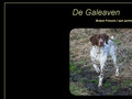 élevage de galeaven