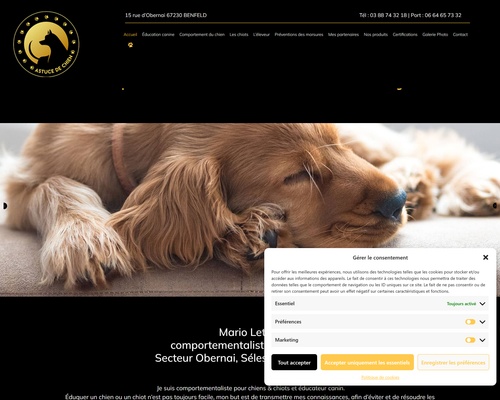 Astuce de chien (67)