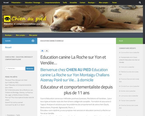 Chien au Pied (85/44)
