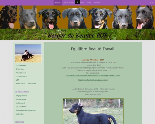 beauceron de la terre sacrée de marius