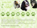 éducation canine à domicile (76)