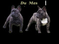Elevage du mas d’aigret
