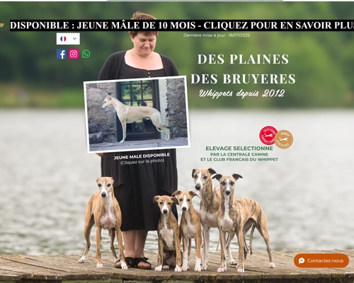 Des plaines de bruyeres