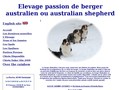 Opal Aussies