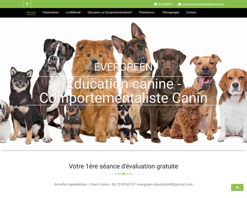 Evergreen en Aquitaine