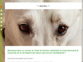Camille Le Roux – Cynologiste™