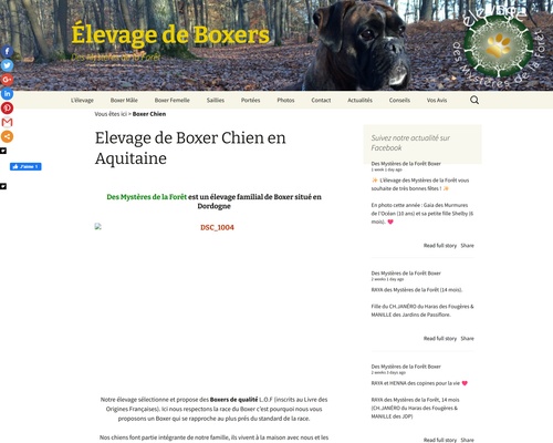 Elevage des Mystères de la Forêt