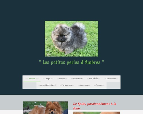 Les petites perles d’Ambres