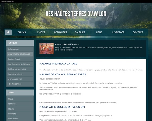 Les Hautes Terres d’Avalon