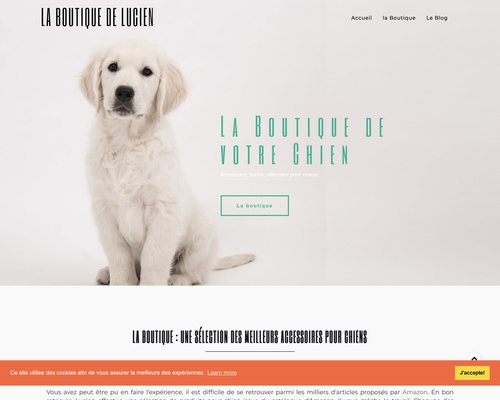 La boutique de Lucien