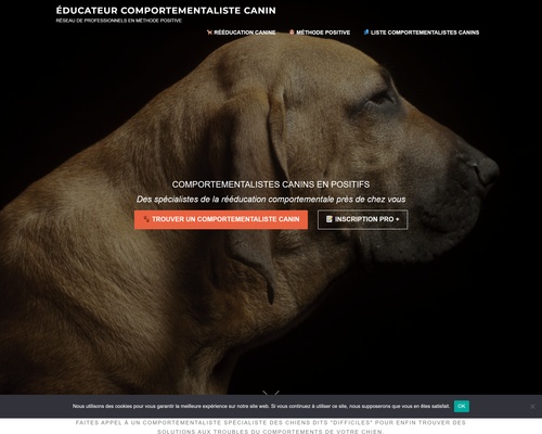 Comportementaliste chien avec méthode douce (63)