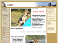 Elevage D’araval – eleveur de chiens Berger allemand