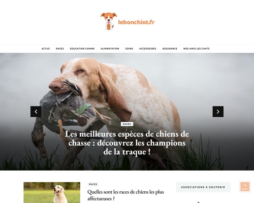 LeBonChiot Annonces gratuites pour Chiens et Chiot