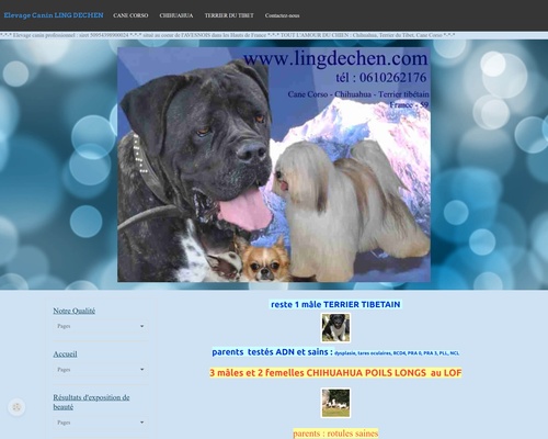 Elevage Canin Familial Ling Dechen