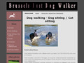 Brussels best dog walker