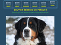 Elevage de bouvier-bernois LOF du Perouet