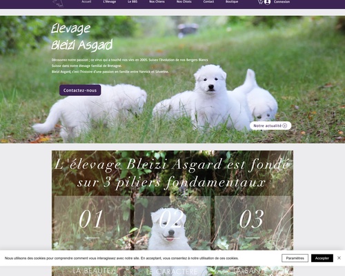 Elevage de Bergers Blancs Suisse – Bleizi Asgard
