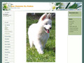 Berger Blanc Suisse Des Chemins Du Poitou