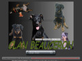 Clan beauceron