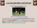 La vallée des Cattleyas – élevage de bergers allemands