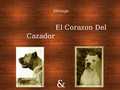 Elevage El corazon del Cazador