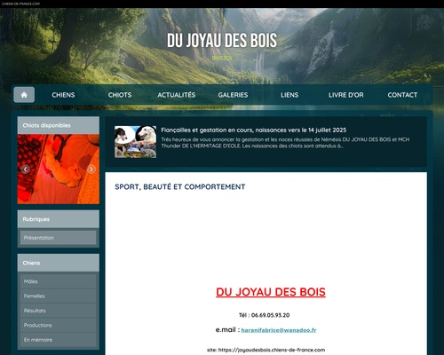 Elevage du Joyau des Bois – eleveur de chiens Barzoi