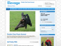 Felallo Fulu Pumi Kennel