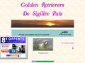 Golden retrievers de Sigillee pais