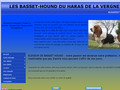 Basset Hound du Haras de la Vergne