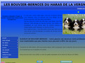 Elevage de bouvier bernois du haras de la vergne