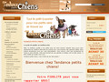 Tendance Petits Chiens