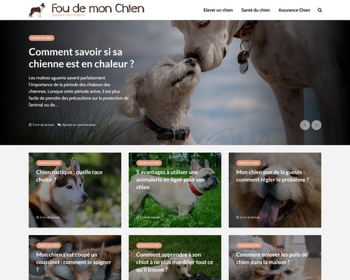 Fou de mon chien