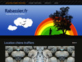Rabassier – Location de chiens truffiers