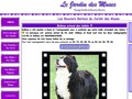Bouviers bernois du Jardin des Muses