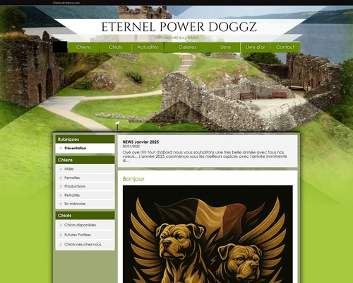 Eternel power doggz