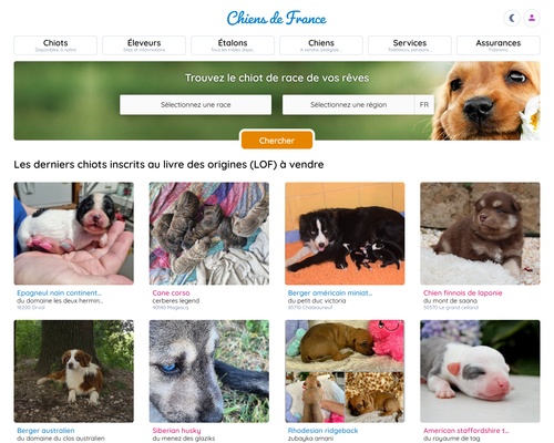 Des Ch’tittes Bouilles
