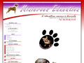 Minicrocs Education