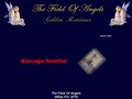 The Field Of Angels