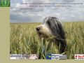 Bearded Collie Club de France
