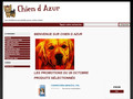 Chien d’Azur – la Mode pour Chiens