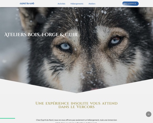 Chien de traineau Esprit du Nord