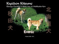 Kyuden Kitsune : Elevage familial d’Akita Inu et d’Hokkaido Ken